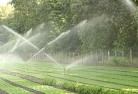 Tungamulllandscaping-water-management-and-drainage-17.jpg; ?>